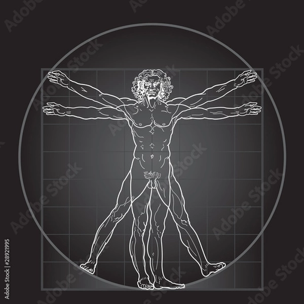 Fototapeta The Vitruvian man (Black Invert version)