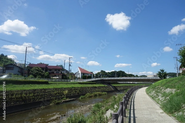 Obraz 晴れた日の日本の川沿いの道