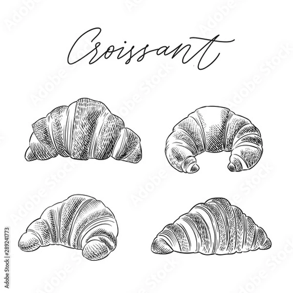 Obraz croissant hand drawn sketch vector set