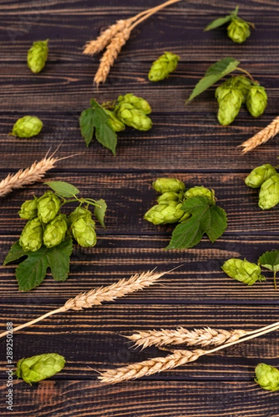 Fototapeta Ears of wheat and sprigs of earth - the ingredients for making beer  on a wooden texture rustic table.