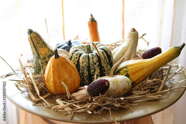 Fototapeta herbstteller