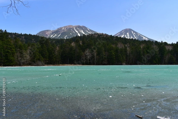 Fototapeta 湖と山