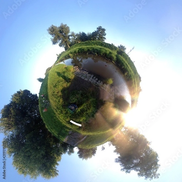 Fototapeta planet with trees