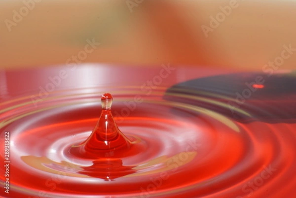 Fototapeta water drops