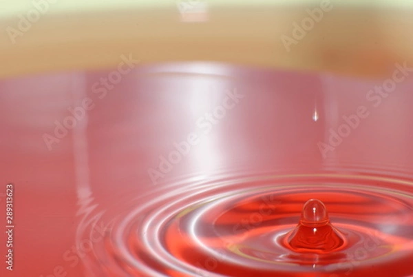 Fototapeta water drops