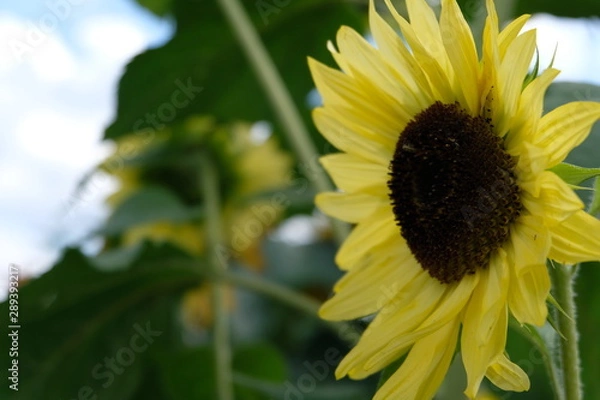 Obraz just about there