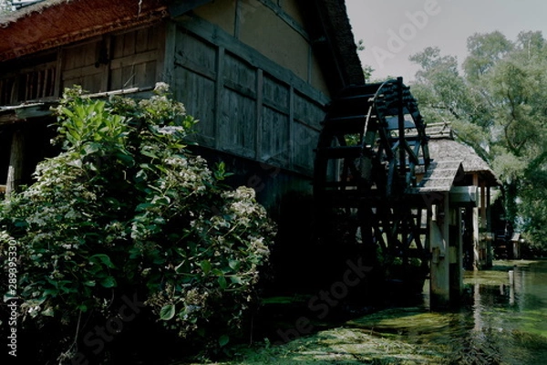 Fototapeta 水車小屋