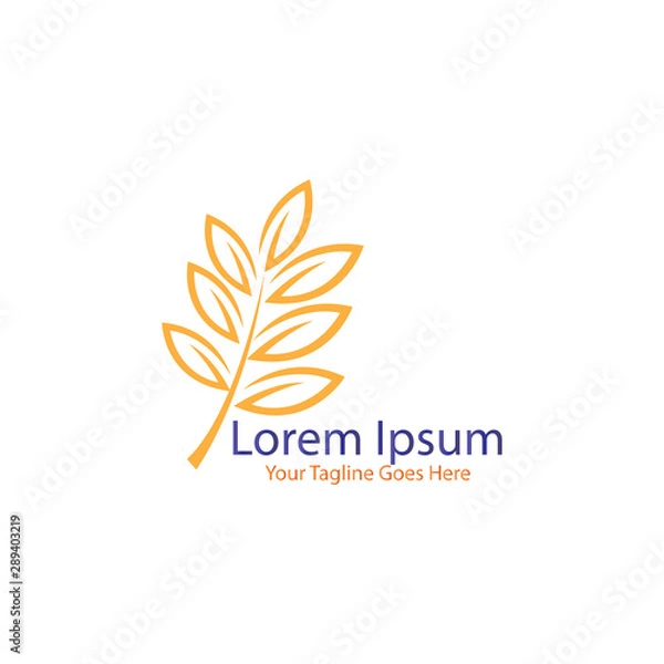 Obraz Design green leaf based company logo