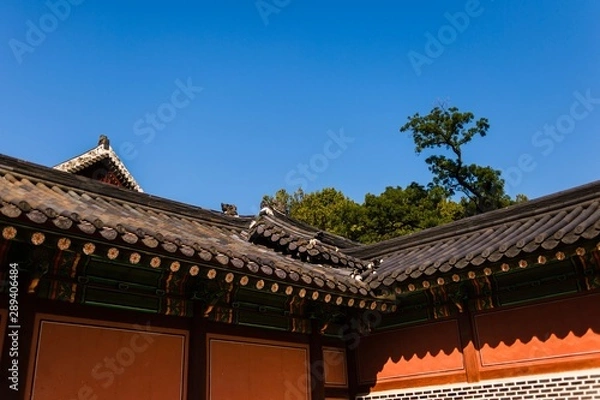 Obraz roof of temple