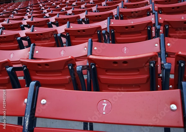 Obraz Baseball Stands