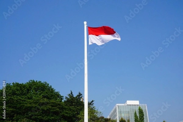 Fototapeta インドネシアの国旗