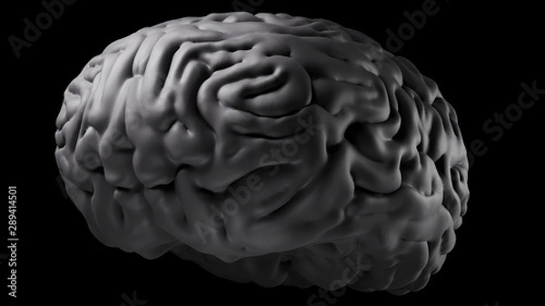 Fototapeta  Isolated Brain Rendering On Black Background