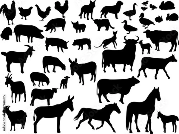 Obraz farm animals collection - vector