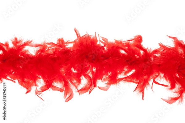 Obraz red feathers-boas