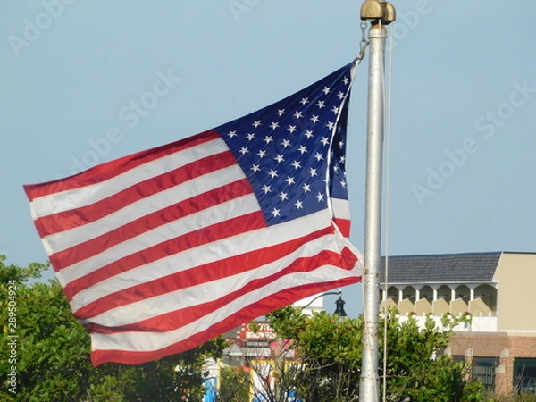 Obraz Flying Flag !!