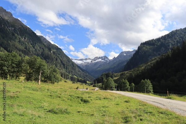 Obraz Blick auf die Berge