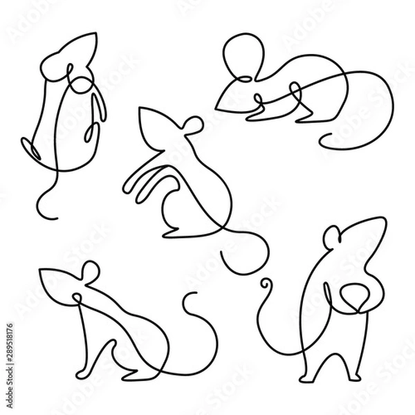 Fototapeta Rat continuous line drawing vector.