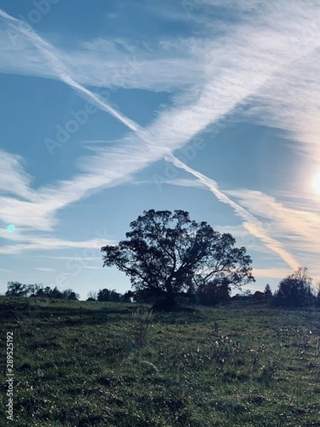 Obraz X marks the Spot