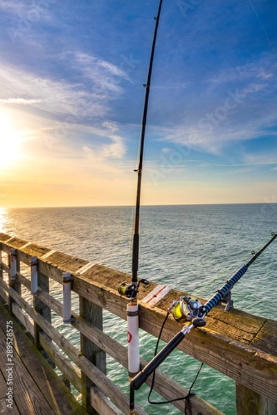 Obraz Mackerel Fishing