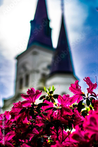 Obraz flowers in front on cathedral