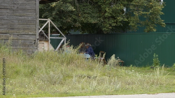 Obraz village, countryside, hamlet