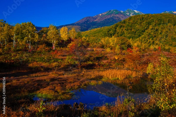 Fototapeta 乗鞍高原から望む乗鞍岳と秋の紅葉の絶景
