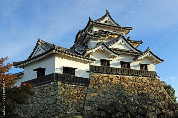 Fototapeta 晩秋の彦根城