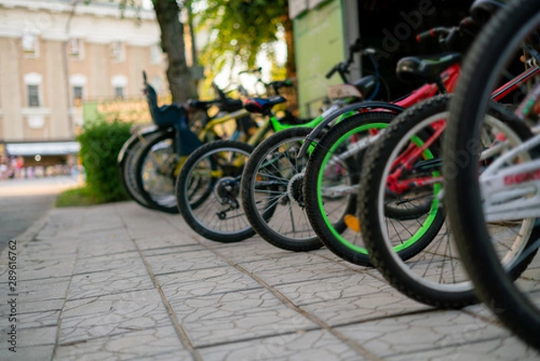 Fototapeta row of many bicycles parked on the public city rent in the park on a summer season, weekend activitiy.