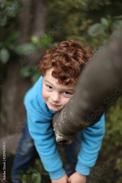 Obraz Boy up a tree