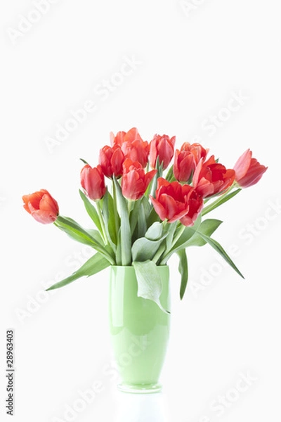 Fototapeta Tulpenstrauß