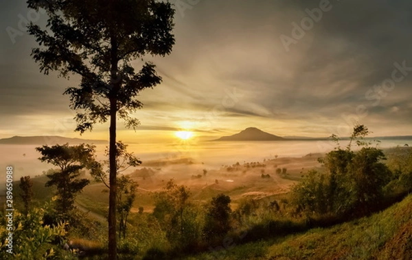 Obraz Mountain view panorama above forest and top hill around with sea of fog with yellow sun light and cloudy sky background, sunrise at Khao Takhian Ngo, Khao Kho, Phetchabun, Thailand.