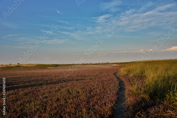 Obraz sunset over the field