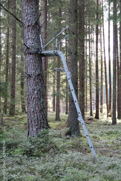 Obraz Moderner Hochsitz