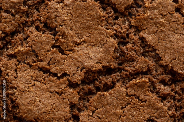 Obraz Food oatmeal cookie background texture