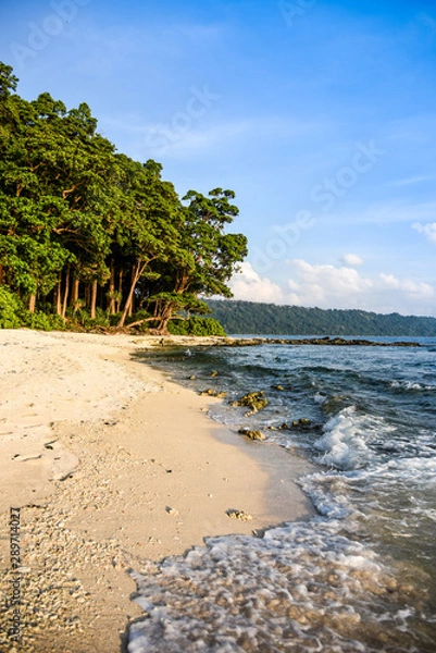Obraz tropical beach