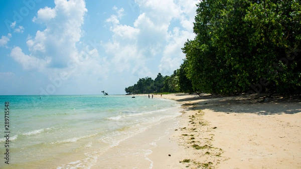 Obraz tropical beach