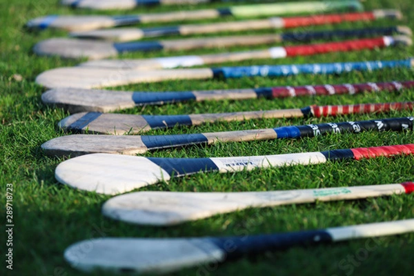Fototapeta A bunch of camogie hurleys lined up on the grass