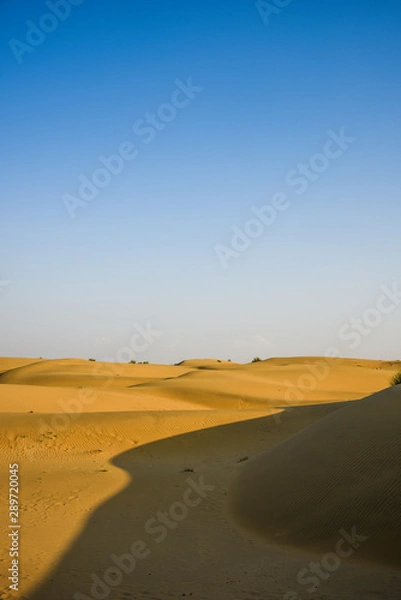 Obraz sand dunes in the desert
