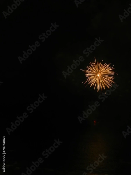 Obraz fireworks on night sky