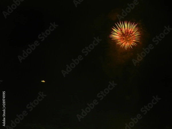 Obraz fireworks on night sky