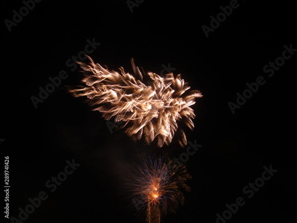 Obraz fireworks in the sky