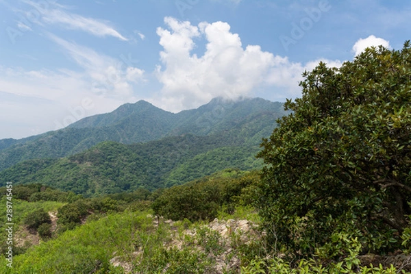 Obraz zona arqueologica