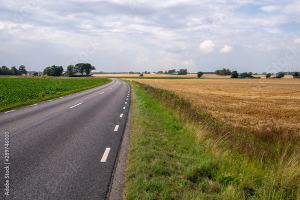Fototapeta Empty countryside road
