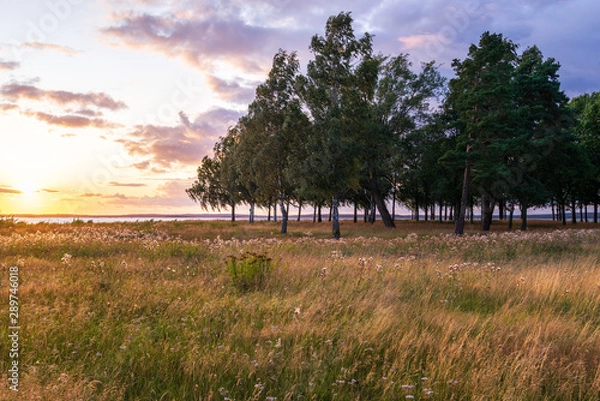 Fototapeta Park, city, sunset, clouds