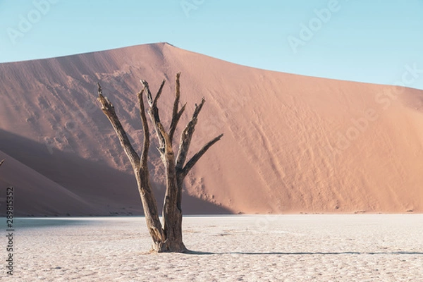 Fototapeta sossusvlei Nambia 