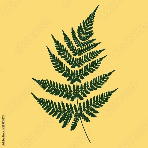 Fototapeta Green leaf of fern on a yellow background. Silhouette. Vector illustration.