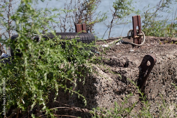Fototapeta 海沿いの土に埋まった船を止める杭