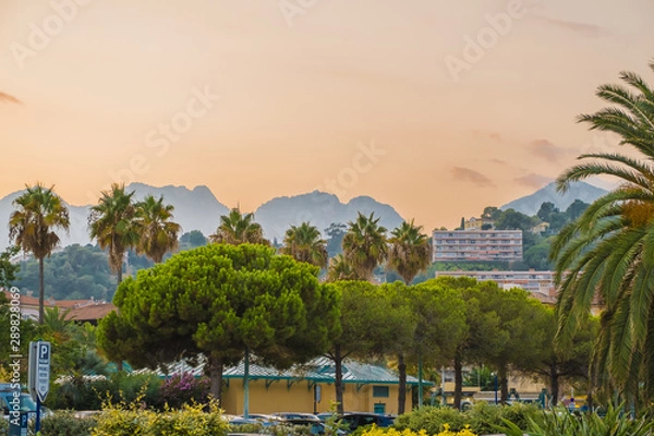Fototapeta a tropical skyline