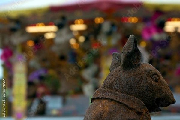 Obraz The talking bunny