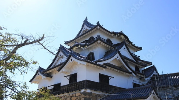 Fototapeta 彦根城